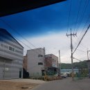 힐링독아카데미 이미지