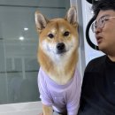 에스더크리닝 | 240830ㅣ첫번째 잔여경기 롯데vs키움 고척돔 407구역 E열 관람후기