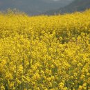 호구산 백련암 이미지