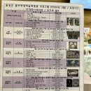 새싹예술 어린이집 | 충북 아이와 가볼만한곳 음성 오감만족새싹체험장 방문후기