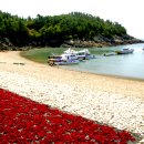 갯내음민박 이미지