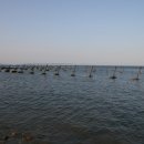 인천광역시의료원백령병원 이미지