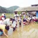 농민영농조합법인 이미지