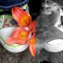 [자격증 취득과정] 방과후지도사(3) 이미지