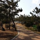 진도관광모텔 이미지