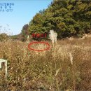 포항시남구38 이미지