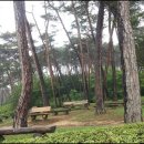 안면도자연휴양림 이미지