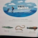 볼케이노다이버