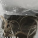 오빠네농수산물 이미지
