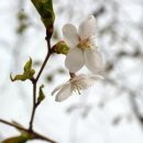 호생농장 이미지