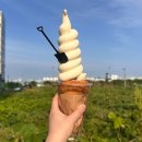 영종도맛집 요거블랑 요거트아이스크림 페스츄리 솔직후기 꿀팁