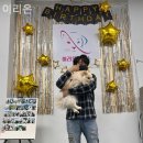 강아지대학로 이미지