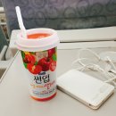 동서낙지 이미지