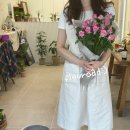 플레로드 이미지