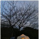 지리산 오도재 힐링캠핑장 | 산청 오토캠핑장 추천, 지리산 당근 오토캠핑장에서의 힐링 캠핑 후기