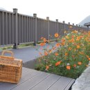 금동초교병설 이미지