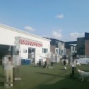 썸바디 독스 이미지