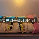 예와정성 이미지