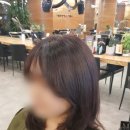 허준헤어으능정이점