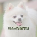 미소로동물병원 이미지