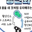세인약국 - 동래구 미남로146번길 3 | 세인약국