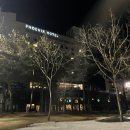 CU동곤지암점 | 평창 여행 | '휘닉스파크 리조트' 리뉴얼한 그린동 후기 !