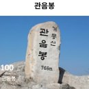 금산인삼관 이미지