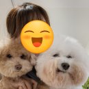 운정 멍발소 이미지