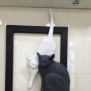 독립문동물병원 이미지