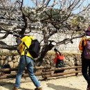 서원대구사무소 한국일보