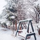 흥정계곡 409 이미지