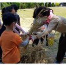 진량119안전센터 이미지