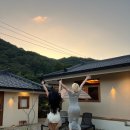 스테이더담 도율 이미지