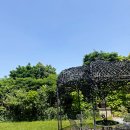 호텔 더 디종 | 파리 근교여행 디종 여행 숙소 정원있는 라파트호텔 솔직후기