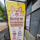들려보개 - 평택시 안청로2길 33-47 | 들려보개