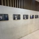 내돈내산, 상암미용실 박승철헤어스투디오 상암DMC 찐 후기, 곱슬전문