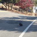 제천 클럽이에스제천리조트 후기 뷰좋은 호텔 추천 [내돈내산]