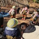 소새울어린이집 이미지