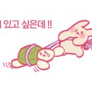 거북이포차