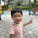 또래(어울림)어린이집 | 9월 일기