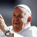 지시태양광발전소 이미지