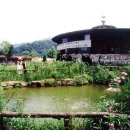 평새말목장 네이버블로그