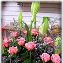 (주)메디파크 이미지