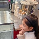 공차수유 | 공차 수유역점 솔직후기 세식구 함께 카페데이트