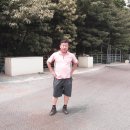 돼지우리 이미지