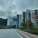 싱싱과일앤바사삭튀김제기점 | [호텔] 파크로쉬 리조트앤웰니스 / Park Roche Resort&Wellness (ft. 숲캉스)