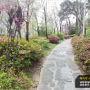 개나리아파트정문 주변 이미지