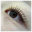 헤어가이드 이미지