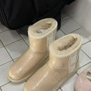 굿클리어신발세탁소 | 클리어 어그 세탁기 후기 🖤 곰팡이 제거 성공 !