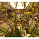 호텔엘리제 이미지